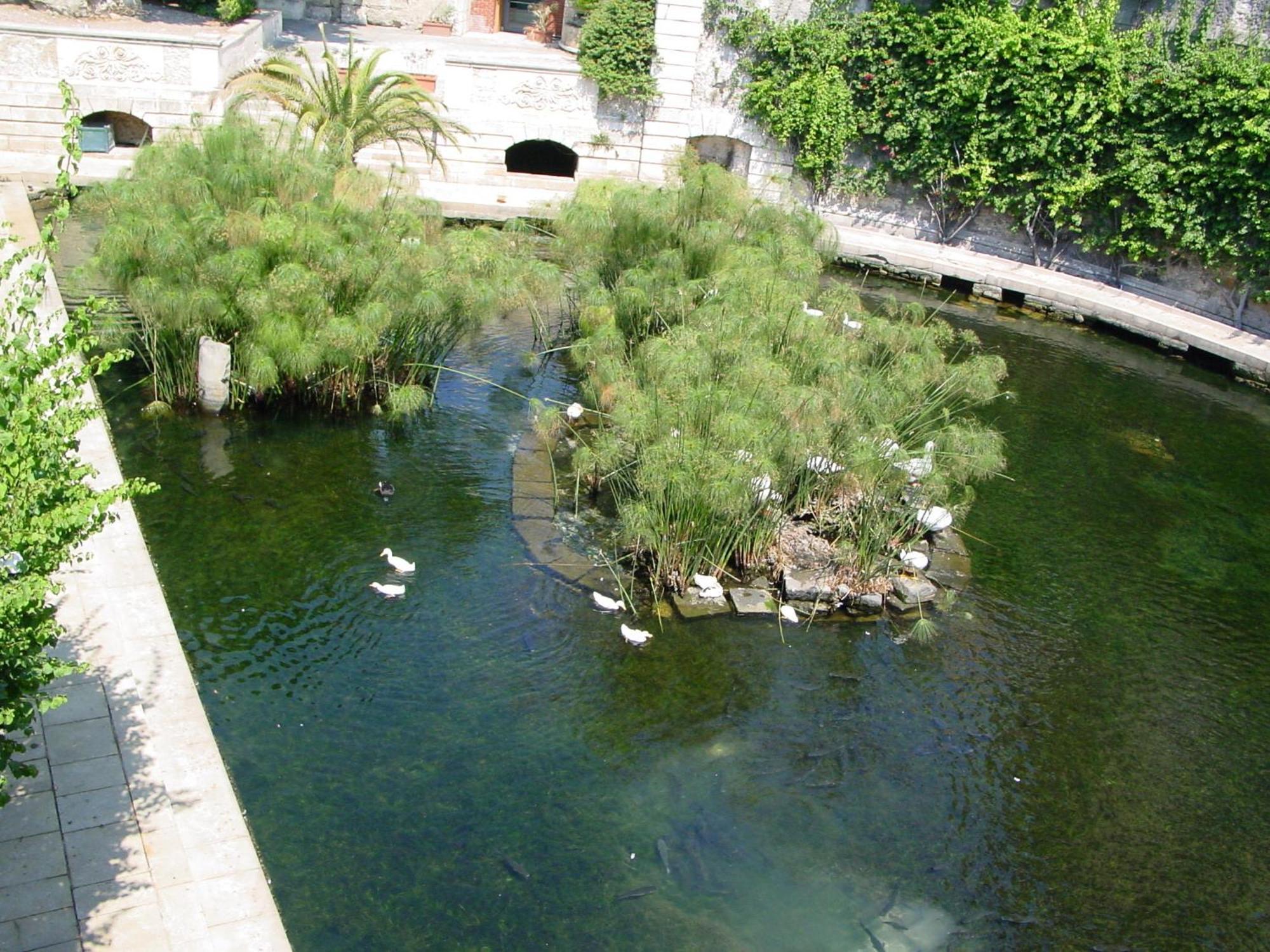 Bed and Breakfast Residenza Matteotti Syracuse Exterior foto